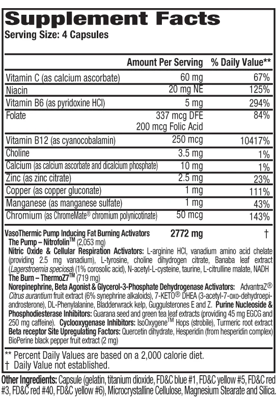 MHP Anadrox - Image 3